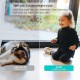 Tapo C110 Home Security Wi-Fi Camera Indoor