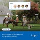 TP-Link Tapo C560WS Outdoor Pan & Tilt WiFi Security Camera with Colour Night Vision TP-Link Tapo C560WS Outdoor Pan & Tilt WiFi Security Camera with Colour Night Vision