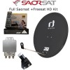 Saorsat